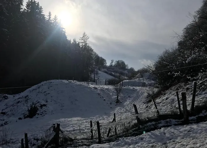 Dom wakacyjny Le Paradis *